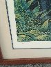 Catalina Set of 3 Framed Lithographs 1999 Limited Edition Print by Robert Lyn Nelson - 1