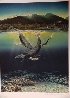 Two Worlds 1994 - Lahaina, Hawaii Limited Edition Print by Robert Lyn Nelson - 1