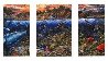 Underwater World Triptych Limited Edition Print by Robert Lyn Nelson - 1