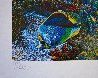 Enfolding Water Fantasy 1991 Limited Edition Print by Robert Lyn Nelson - 3