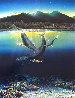 Two Worlds 1980 - Lahaina, Hawaii Limited Edition Print by Robert Lyn Nelson - 0