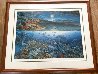 Wonders of Mahea-Lanai 1994 - Huge Limited Edition Print by Robert Lyn Nelson - 1