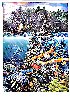 Chant to Nature Triptych 1988 - Huge - Hawaii Limited Edition Print by Robert Lyn Nelson - 2