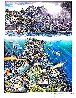 Chant to Nature Triptych 1988 - Huge - Hawaii Limited Edition Print by Robert Lyn Nelson - 3