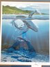 Extinction is Forever 1983 w/ Remarque Limited Edition Print by Robert Lyn Nelson - 1