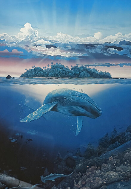 Molokini Twilight - Hawaii by Robert Lyn Nelson - For Sale on Art