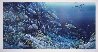 Hanalei Nani, Kauai, Hawaii 1984 Limited Edition Print by Robert Lyn Nelson - 2 Hanalei Nani, Kauai, Hawaii 1984 Limited Edition Print by Robert Lyn Nelson - 2