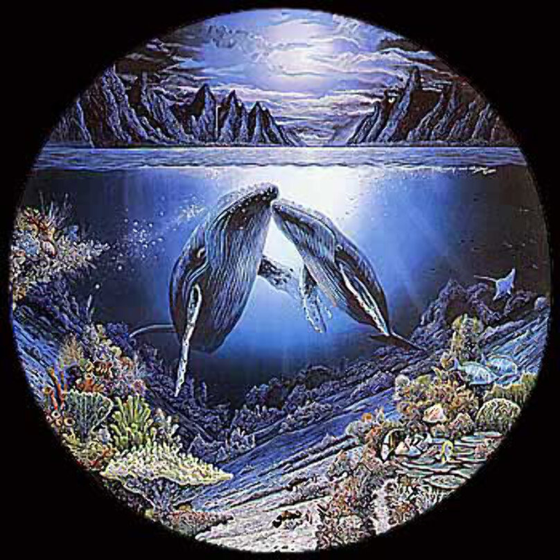 Robert Lyn Nelson Art For Sale, Wanted