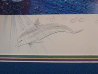 Agile Sea Phantom 1980 Limited Edition Print by Robert Lyn Nelson - 2