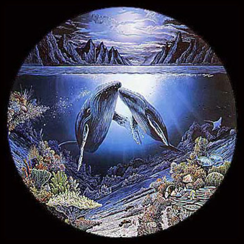 Robert Lyn Nelson Art For Sale, Wanted