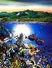 Colors of Hamoa PP 1995 - Huge - Maui, Hawaii Limited Edition Print by Robert Lyn Nelson - 0
