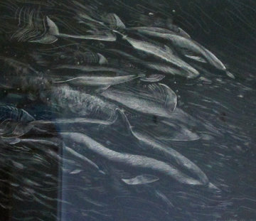 Dolphins From Above 1992 33x34 Original Painting - Robert Lyn Nelson