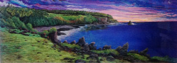 Amethyst Dawn At Kipahuku 1980 Limited Edition Print - Robert Lyn Nelson