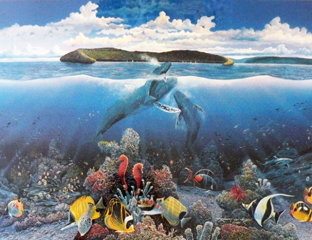 Molokini First Breath 1987 Limited Edition Print by Robert Lyn Nelson