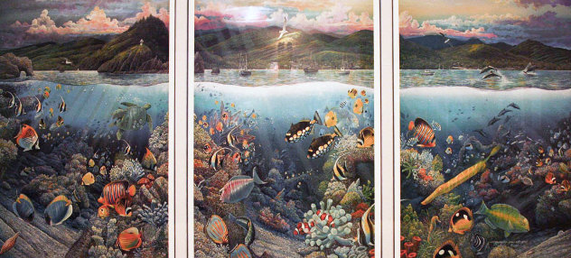 Undersea Symphony of Hana 1996 Limited Edition Print by Robert Lyn Nelson