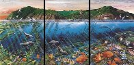 Catalina Limited Edition Print by Robert Lyn Nelson - 0 Catalina Limited Edition Print by Robert Lyn Nelson - 0