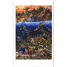 Underwater World Limited Edition Print by Robert Lyn Nelson - 8