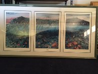 Catalina Triptych Remarked 1988 Limited Edition Print by Robert Lyn Nelson - 3 Catalina Triptych Remarked 1988 Limited Edition Print by Robert Lyn Nelson - 3