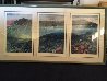 Catalina Triptych Remarked 1988 Limited Edition Print by Robert Lyn Nelson - 3