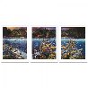 Chant to Nature 1998 Triptych Limited Edition Print by Robert Lyn Nelson - 1
