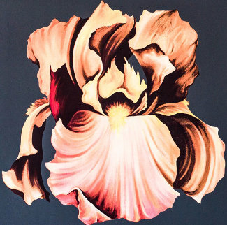 Iris 1978 Limited Edition Print - Lowell Blair Nesbitt Iris 1978 Limited Edition Print - Lowell Blair Nesbitt