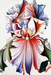 Iris 1981 Limited Edition Print - Lowell Blair Nesbitt Iris 1981 Limited Edition Print - Lowell Blair Nesbitt