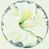 Lemon White Lily 1982 26x26 Original Painting by Lowell Blair Nesbitt - 0