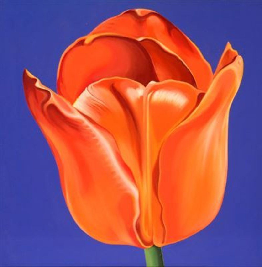 Tulip 1965 30x30 Original Painting by Lowell Blair Nesbitt Tulip 1965 30x30 Original Painting by Lowell Blair Nesbitt