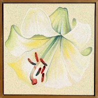 White Lily 1982 26x26 Original Painting by Lowell Blair Nesbitt - 1 White Lily 1982 26x26 Original Painting by Lowell Blair Nesbitt - 1
