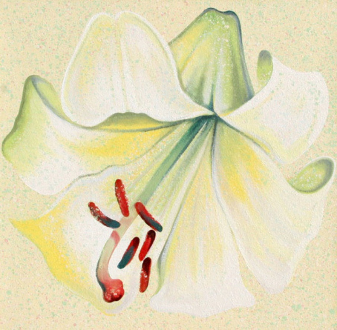 White Lily 1982 26x26 Original Painting by Lowell Blair Nesbitt White Lily 1982 26x26 Original Painting by Lowell Blair Nesbitt
