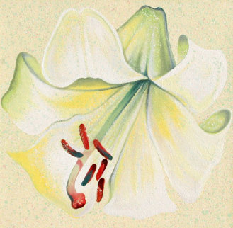 White Lily 1982 26x26 Original Painting - Lowell Blair Nesbitt
