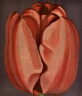 Tulip 1977 Limited Edition Print by Lowell Blair Nesbitt - 0 Tulip 1977 Limited Edition Print by Lowell Blair Nesbitt - 0