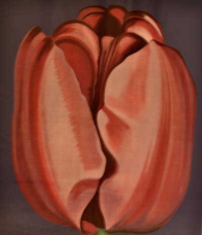 Tulip 1977 Limited Edition Print - Lowell Blair Nesbitt