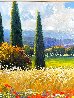 Blooming Field 49x42 - Huge Original Painting by Gerhard Nesvadba - 3