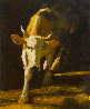 Cow 2014 47x39  - Huge Original Painting by Robert Nizamov - 0