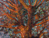 Tree 2010 41x52 - Huge Original Painting by Robert Nizamov - 0