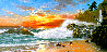 Golden Sun 2006 25x43 - Huge - Koa Wood Frame Original Painting by  Noelito - 0