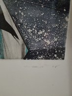 Rincon Falls Black Leaf 2008 Limited Edition Print by Chris Ofili - 4 Rincon Falls Black Leaf 2008 Limited Edition Print by Chris Ofili - 4
