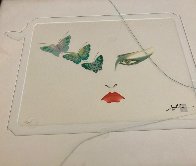 Eyes of Otsuka - Butterflies Limited Edition Print by Hisashi Otsuka - 7 Eyes of Otsuka - Butterflies Limited Edition Print by Hisashi Otsuka - 7