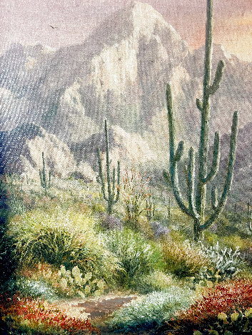 Saguaro Shadows 23x27 - California Original Painting - Charles H Pabst