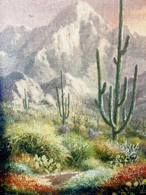 Saguaro Shadows 23x27 - California Original Painting by Charles H Pabst