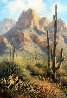Saguaro Shadows 18x22 Original Painting by Charles H Pabst - 0