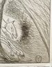 Wolf and the Lamb 1986 HS Limited Edition Print by Mimmo Paladino - 2