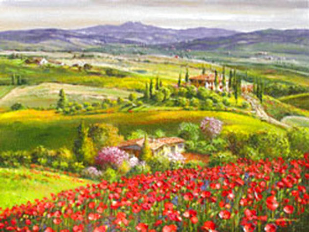 Tuscany Red Poppies 2007 - Italy Limited Edition Print by Sam Park