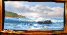 Breaking Thru 1981 36x60 Huge Original Painting by Violet Parkhurst - 3