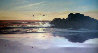 Carmel Beach - California 28x52 Huge - Monterey Ca Original Painting by Violet Parkhurst - 0