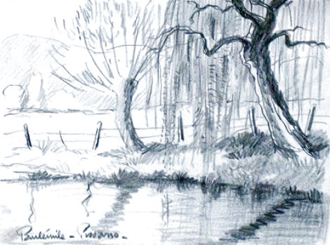 Weeping Willow by a River - Drawing - 30x25 Drawing - Paul Emile Pissarro