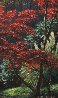 Japanese Maple 1998 34x40 Original Painting by Henry Peeters - 5