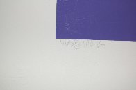 Ano Doce Limited Edition Print by Amado Pena - 3 Ano Doce Limited Edition Print by Amado Pena - 3