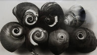 Seven Shells, New York, May 2002 Unique Photography by Irving Penn - 1